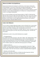Vorschau - Arbeitsblätter - Sklaverei - Sklavenhandel im transatlantischen Dreieckshandel - Seite 3