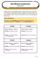 Vorschau - Arbeitsblätter - Das Metrum in Gedichten bestimmen (wachsendes Materialpaket) - Seite 2