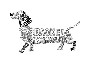 Vorschau - Arbeitsblätter - Typografie-Tiere im Kunstunterrricht in der Sek 1, Gestalten mit Schrift in der Sekundarstufe 1, Kunst Klasse 6, Kunst Klasse 7 - Seite 3