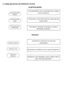 anteprima - Esercizi - Verifica sull'apparato locomotore - Pagina 3
