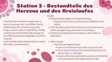 Vorschau - Arbeitsblätter - Stationenlernen: Blutkreislauf & Herz - Seite 3