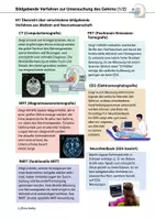 Vorschau - Stundenentwürfe - Materialpaket Unterrichtsreihe Gehirn & Lernen Neurobiologie Neuroplastizität Gedächtnis - Seite 2