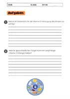 Vorschau - Arbeitsblätter - Vitamin D: Sonne und Gesundheit Unterrichtsmaterial - Seite 3