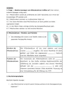 Vorschau - Arbeitsblätter - Der Feinbau des Mitochondriums - Seite 2