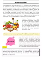 Vorschau - Arbeitsblätter - Proteine & Aminosäuren Materialpaket: Struktur, Ernährung & Proteinbiosynthese - Seite 2