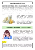 Vorschau - Arbeitsblätter - Aminosäuren: Aufbau & Eigenschaften - Seite 1