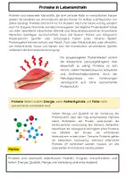 Vorschau - Arbeitsblätter - Proteinbedarf des Menschen: Proteine, Aminosäuren, Ernährung, - Seite 1