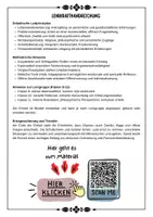 Vorschau - Unterrichtsreihen - Theodizee - Unterrichtseinheit - Didaktik und Lehrerhandreichung (Klasse 9 10 11) - Seite 1