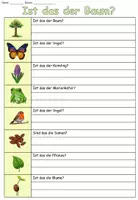 Vorschau - Arbeitsblätter - Übung "Ist das der Baum?" Thema Frühling DaZ / DaF / Deutsch - Seite 1