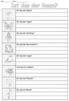 Vorschau - Arbeitsblätter - Übung "Ist das der Baum?" Thema Frühling DaZ / DaF / Deutsch - Seite 3