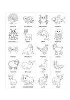 anteprima - Flashcard - 100 Tessere degli animali per attività di classificazione - Pagina 3