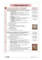 Vorschau - Stundenentwürfe - WG 3/4, Werken und Gestalten, Tonplatte, Plattentechnik - Seite 3