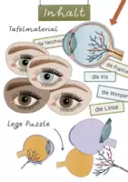 Vorschau - Stundenentwürfe - Das Auge - Materialpaket mit Forscherheft & Bildkarten - Seite 2