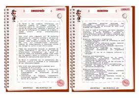 Vista previa - Unidades / Secuencias / Situaciones de Aprendizaje - SUPER PACK INFERENCIAS Y TEORIA DE LA MENTE - página 2