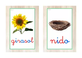 Vista previa - Tarjetas / Manipulativos - Vocabulario letra minúscula ligada (primavera) - página 1