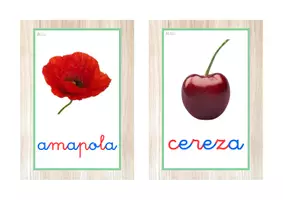 Vista previa - Tarjetas / Manipulativos - Vocabulario letra minúscula ligada (primavera) - página 2