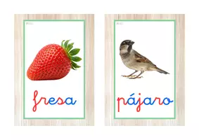 Vista previa - Tarjetas / Manipulativos - Vocabulario letra minúscula ligada (primavera) - página 3