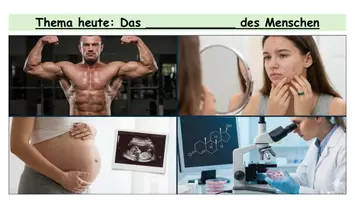 Vorschau - Arbeitsblätter - Hormonsystem des Menschen - Arbeitsblatt - Seite 1