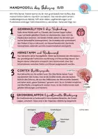 Vorschau - Arbeitsblätter - Modell Aufbau Gehirn Handmodell Gehirnstrukturen Neurobiologie - Seite 1