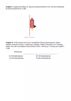 Vorschau - Unterrichtsreihen - Potenzialtest_Klasse4_2026_Version15_Weltall_Planeten - Seite 3