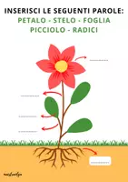 anteprima - Materiale di supporto/inclusione - La pianta, il fiore e il frutto (schede facilitate) - Pagina 2