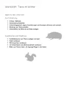 Vorschau - Arbeitsblätter - Tiere im Winter. Werkstatt - Seite 1