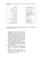 Vorschau - Arbeitsblätter - Arbeitsmaterial zum Arbeiten mit der Laubsäge - Seite 1