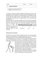 Vorschau - Arbeitsblätter - Arbeitsmaterial zum Arbeiten mit Raspel und Feile - Deckblatt