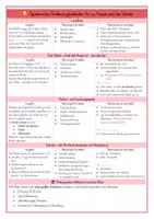 Vorschau - Fördermaterial/Inklusion - Der, die, das im Alltag – Komplettset aus Etiketten & Artikelplakaten - Seite 3
