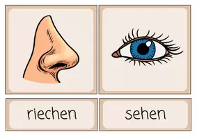 Vorschau - Bildkarten - Die 5 Sinne - Bildkarten - Seite 1