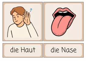 Vorschau - Bildkarten - Die 5 Sinne - Bildkarten - Seite 2