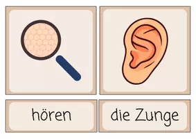 Vorschau - Bildkarten - Die 5 Sinne - Bildkarten - Seite 3