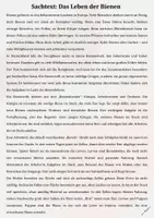 Vorschau - Arbeitsblätter - Leseprobe Training-Sachtext: Das Leben der Bienen Strategien, Analysefragen & Lösungen - Klasse 4 - Seite 2