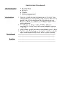 Vorschau - Experimente - Schülerexperiment zum Experiment von Oerstedt - Deckblatt