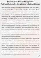 Vorschau - Arbeitsblätter - Leseprobe Training Sachtext: Der Wald als Ökosystem – Nahrungsketten, Stockwerke und Schutzfunktionen Strategien, Analysefragen & Lösungen - Klasse 4 - Seite 3