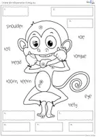 Vorschau - Arbeitsblätter - Englisch Grundschule: Body Parts Materialien mit Karteikarten, Übungen & lustigen Affenbildern - Seite 1