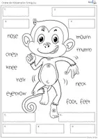 Vorschau - Arbeitsblätter - Englisch Grundschule: Body Parts Materialien mit Karteikarten, Übungen & lustigen Affenbildern - Seite 2