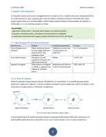 anteprima - Esercizi - LA CHIMICA FACILE - Lezione 05 - Forze intramolecolari e Forze di Van Der Waals - Pagina 2