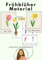 Vorschau - Arbeitsblätter - Frühblüher im Sachunterricht: Bildkarten, Arbeitsblätter - Deckblatt