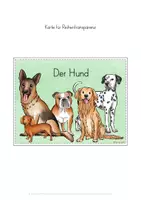 Vorschau - Stundenentwürfe - Hund Wissenskartei Arbeitsblätter Tafelmaterial Unterrichtseinheit - Seite 3