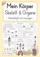 Vorschau - Unterrichtsreihen - Skelett & Organe - Mein Körper - Arbeitsheft / Unterrichtsreihe - Deckblatt