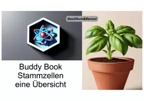 Vorschau - Arbeitsblätter - Stammzellen Buddy Book - Seite 1