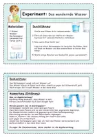 Vorschau - Experimente - 20 Experimente mit Wasser für die Grundschule - Seite 3