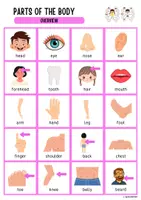 Vorschau - Spiele - Parts of the body - Living pairs + Übersicht (Memo-Spiel - Paare finden) - Seite 2