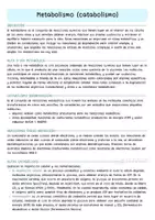 Vista previa - Presentaciones - Apuntes Catabolismo biología - página 1