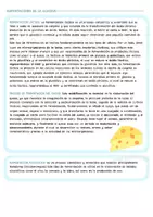 Vista previa - Presentaciones - Apuntes Catabolismo biología - página 3