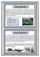 Vorschau - Merkblätter - Infokartei Reptilien - Seite 3