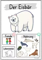 Vorschau - Poster - Plakate: Sachwissen Polartiere für Kindergarten (Poster, Arktis, Antarktis) - Seite 2
