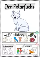Vorschau - Poster - Plakate: Sachwissen Polartiere für Kindergarten (Poster, Arktis, Antarktis) - Seite 3