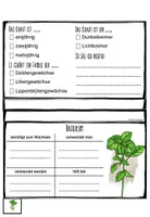 Vorschau - Arbeitsblätter - Kräuter - Flipbook (mit Lösungen) - Seite 2